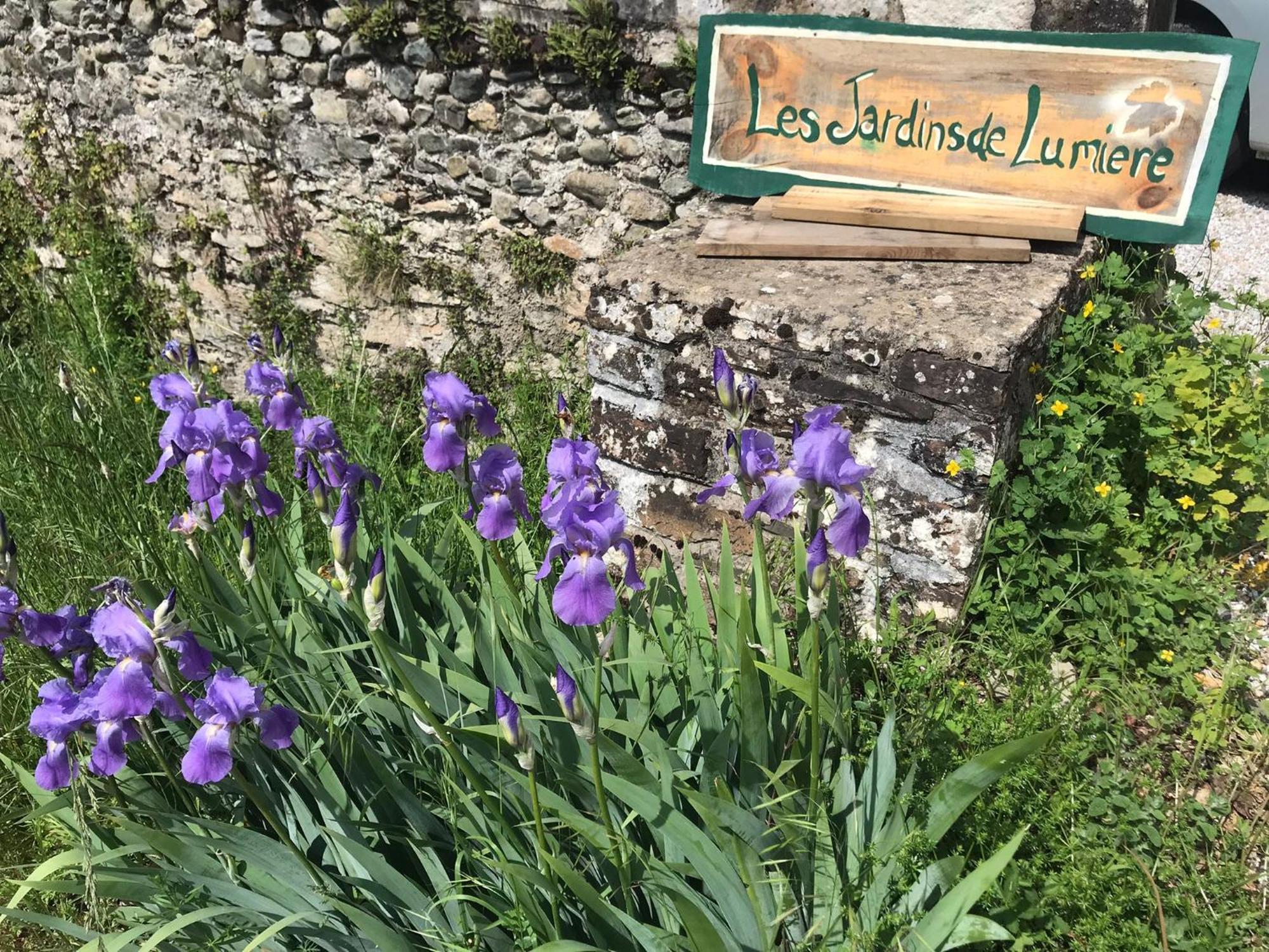 Brusque Les Jardins De Lumiere Bed & Breakfast エクステリア 写真